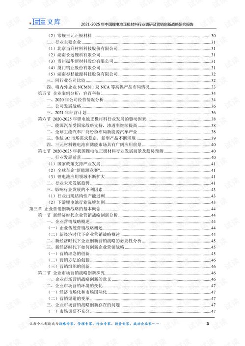 2021 2025年中国锂电池正极材料行业调研及营销创新战略研究报告.pdf