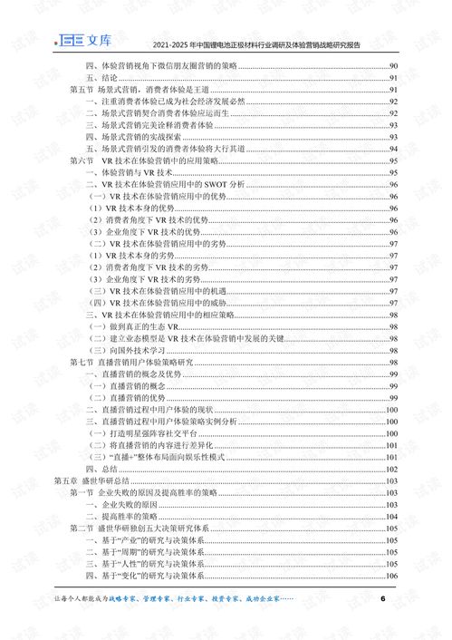 2021 2025年中国锂电池正极材料行业调研及体验营销战略研究报告.pdf