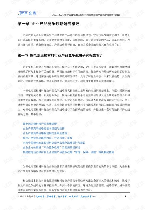 2021 2025年中国锂电池正极材料行业调研及产品竞争战略研究报告.pdf