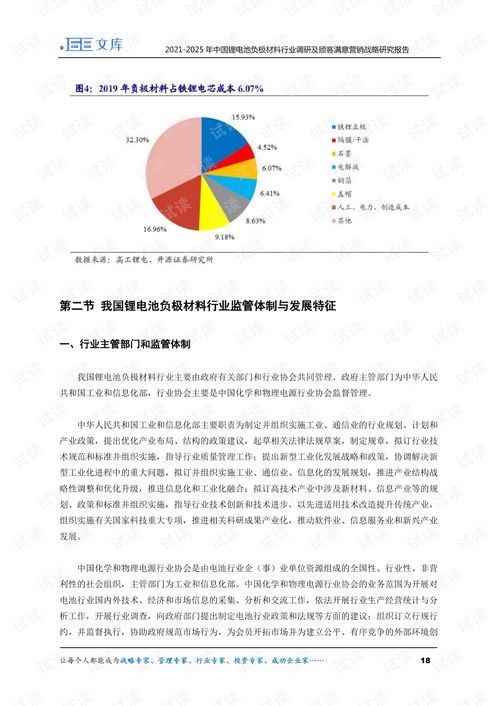 2021 2025年中国锂电池负极材料行业调研及精准营销战略研究报告.pdf