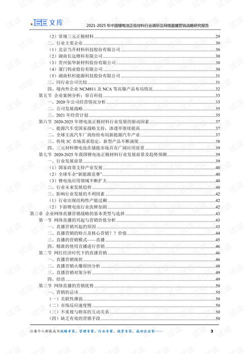 2021 2025年中国锂电池正极材料行业调研及网络直播营销战略研究报告.pdf