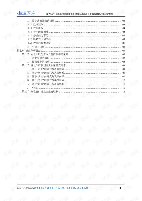 2021 2025年中国锂电池正极材料行业调研及大数据营销战略研究报告.pdf