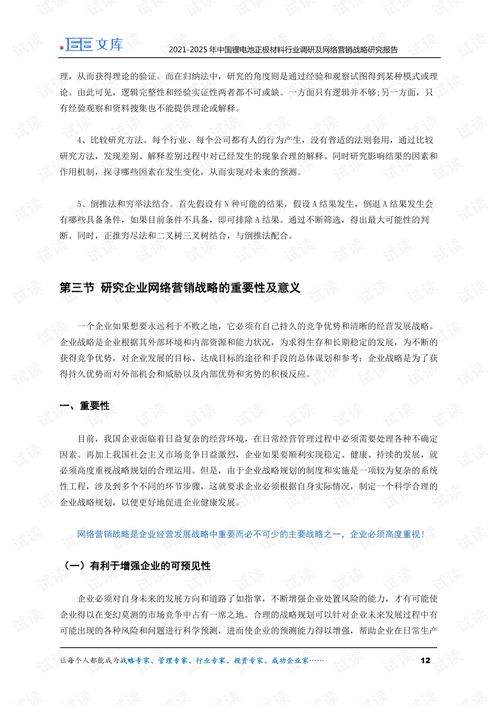 2021 2025年中国锂电池正极材料行业调研及网络营销战略研究报告.pdf