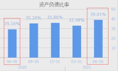 锂电池材料龙头,全球前十大锂电巨头均是公司客户,q2业绩暴增2倍