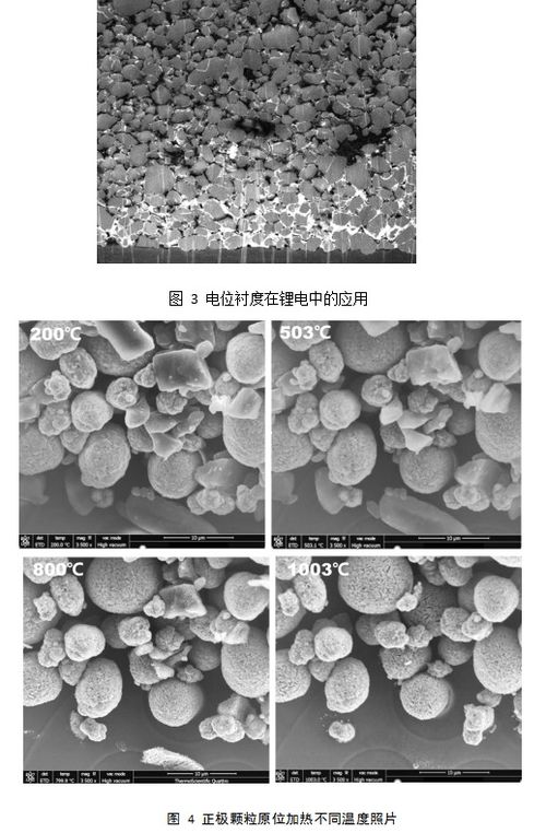 锂电池正极材料行业的显微分析方案指南